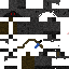 Texture for <f