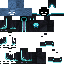 Texture for wither241