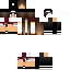 Texture for LunaSkater