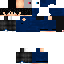 Texture for Hudini2