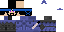 Texture for The Ninja