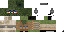Texture for recon