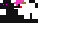 Texture for Enderchicken