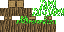 Texture for Tree