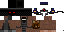 Texture for dart