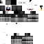 Texture for Security Puppet