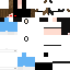 Texture for GuiSkinNova