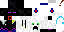 Texture for ds