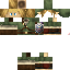 Texture for Link