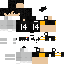 Texture for PICKENS