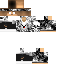 Texture for skytomica