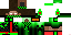 Texture for ds