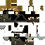 Texture for ...saai