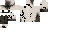 Texture for sagfasga