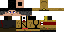 Texture for Richtofen