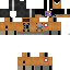 Texture for Robot