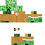 Texture for d-classs