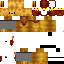 Texture for Simba