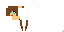 Texture for geilo