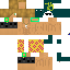 Texture for Surfer