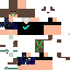 Texture for highigex2