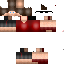 Texture for mojang