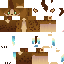 Texture for Steevee Persona