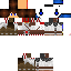 Texture for Dirr