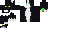 Texture for CATY