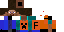 Texture for fernando