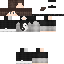 Texture for 91