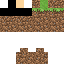 Texture for DirtSkin