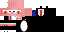 Texture for Fixed 3D Suit Pig