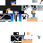 Texture for Pandy307