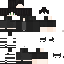 Texture for SHADE.option2