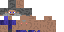 Texture for steve