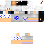 Texture for vecchitor
