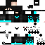 Texture for Steve 2