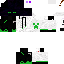 Texture for steve