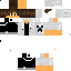 Texture for daniell_brr