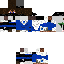 Texture for White Lotus Form