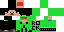 Texture for bart