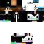 Texture for Steve