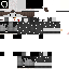 Texture for Pinguim_BR