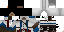 Texture for Assassin