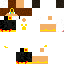 Texture for QuickPT