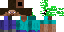 Texture for Steve creeper