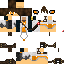 Texture for medieval swift