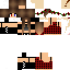 Texture for Nikol *3