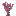Texture for Acacia Sapling